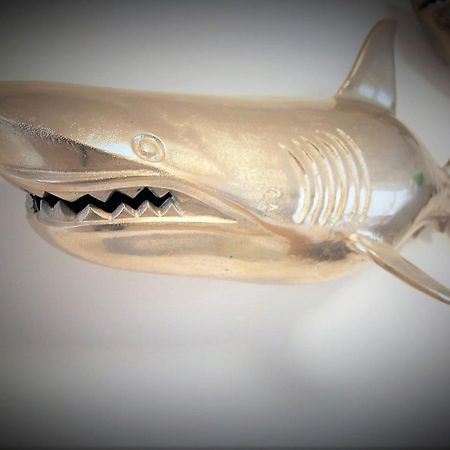 Ferienhaus "Zum Haifisch" ซังคท์ พีเทอร์-ออร์ดิง ภายนอก รูปภาพ