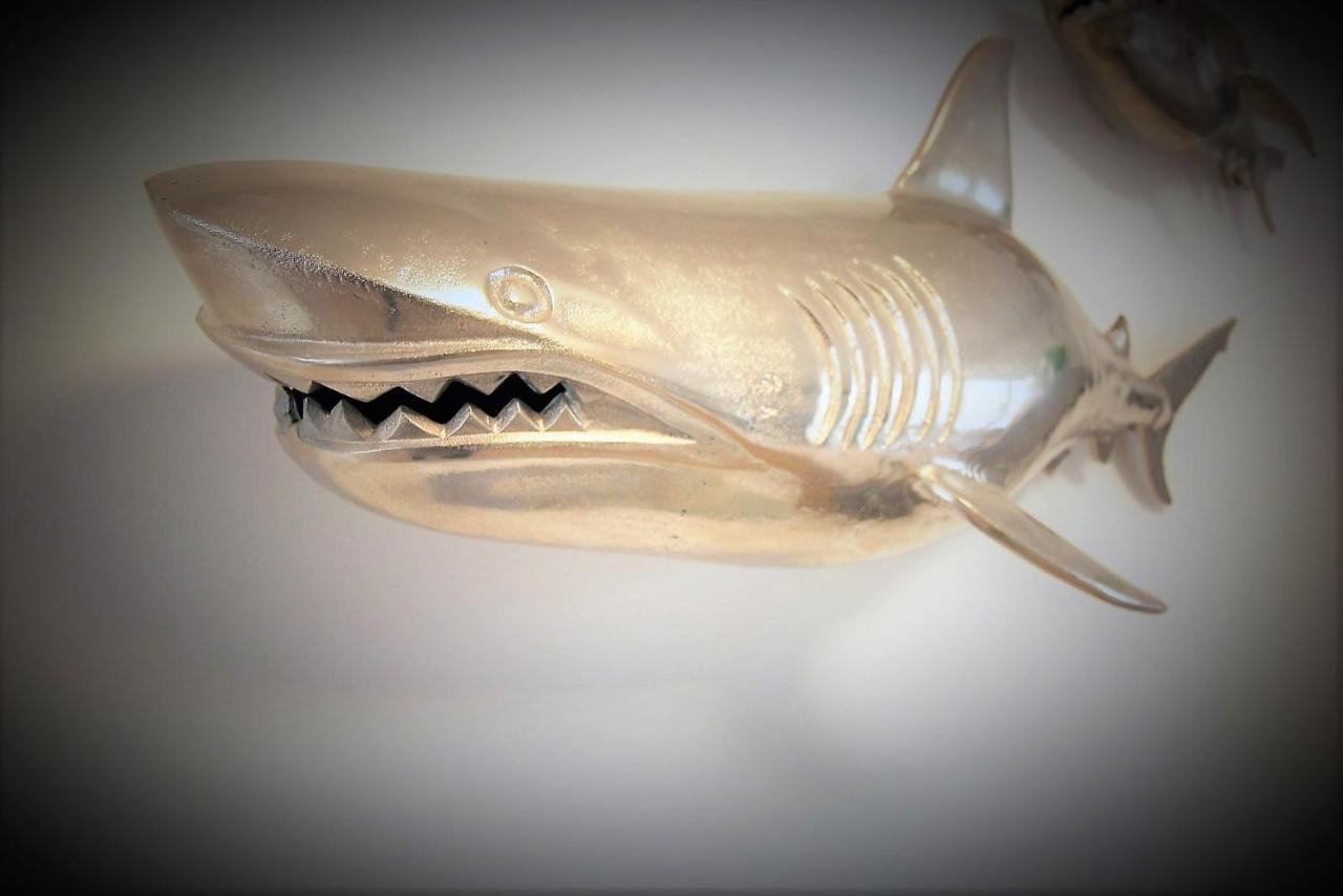 Ferienhaus "Zum Haifisch" ซังคท์ พีเทอร์-ออร์ดิง ภายนอก รูปภาพ